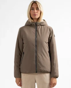 Hot Sun Valley Ylipaa Chataigne